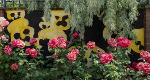 The Wall Art in Rose Garden